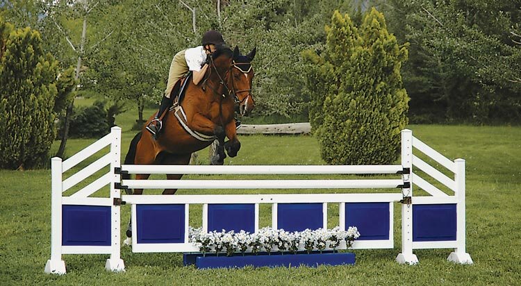 horse jumps