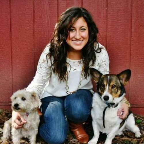 pet sitter Easton MD